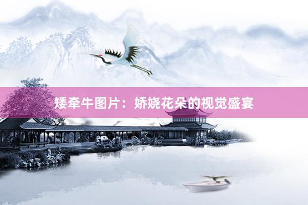 矮牵牛图片：娇娆花朵的视觉盛宴